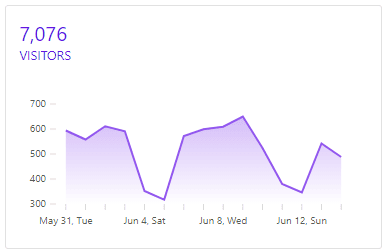 Visitor Stats & Conversion Rate